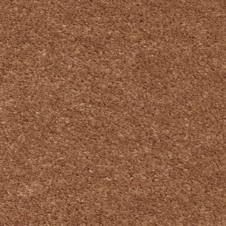 Ковровое покрытие AW Euphoria 84 - (5м) в Тольятти