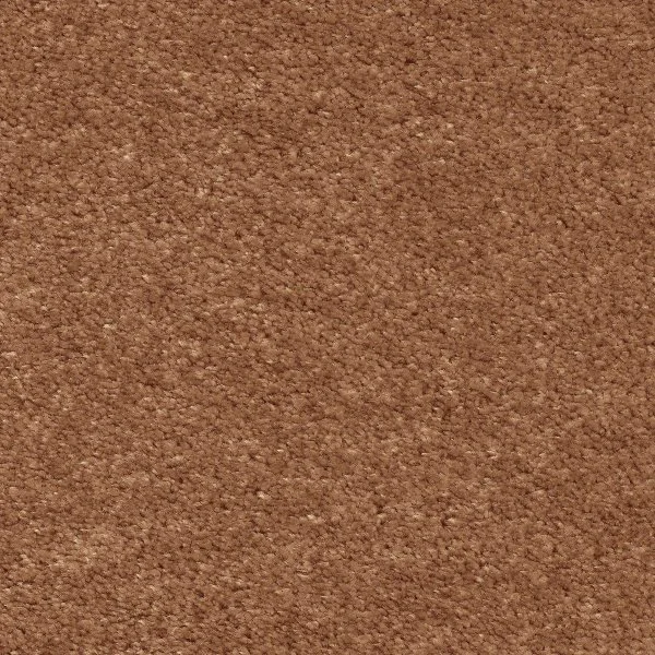 Ковровое покрытие AW Euphoria 84 - (5м) в Тольятти