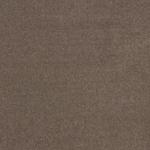 Ковровое покрытие AW Orseis 44 - (4м) в Тольятти