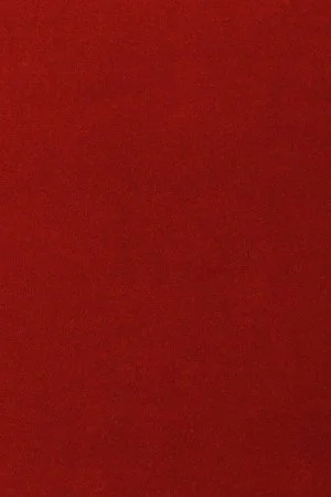 Ковровое покрытие AW Oinone 10 - (4м) в Тольятти