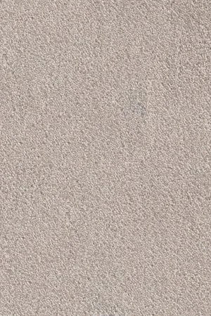 Ковровое покрытие AW Messalina 37 - (5м) в Тольятти