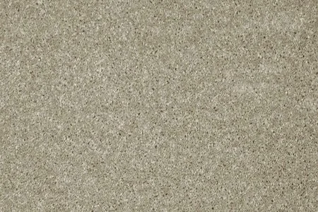 Ковровое покрытие AW Gala 03 - (5м) в Тольятти