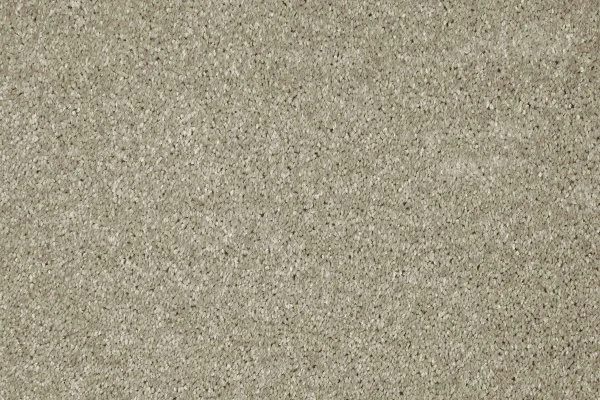 Ковровое покрытие AW Gala 03 - (4м) в Тольятти