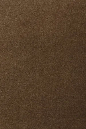 Ковровое покрытие AW Oinone 44 - (5м) в Тольятти