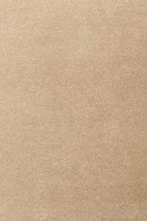 Ковровое покрытие AW Oinone 36 - (5м) в Тольятти