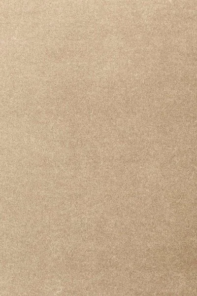 Ковровое покрытие AW Oinone 36 - (4м) в Тольятти