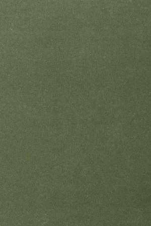 Ковровое покрытие AW Oinone 24 - (4м) в Тольятти