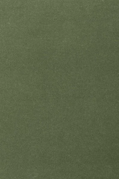 Ковровое покрытие AW Oinone 24 - (4м) в Тольятти