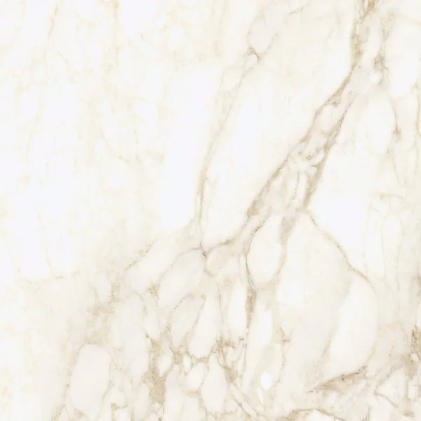 Керамогранит Coliseum Микеланджело Ворм 60х60 (Натуральный и Реттифицированный) в Тольятти