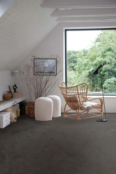 Ковровое покрытие AW Ganges 99 - (4м) в Тольятти