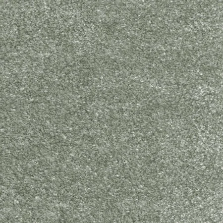 Ковровое покрытие AW Euphoria 28 - (5м) в Тольятти