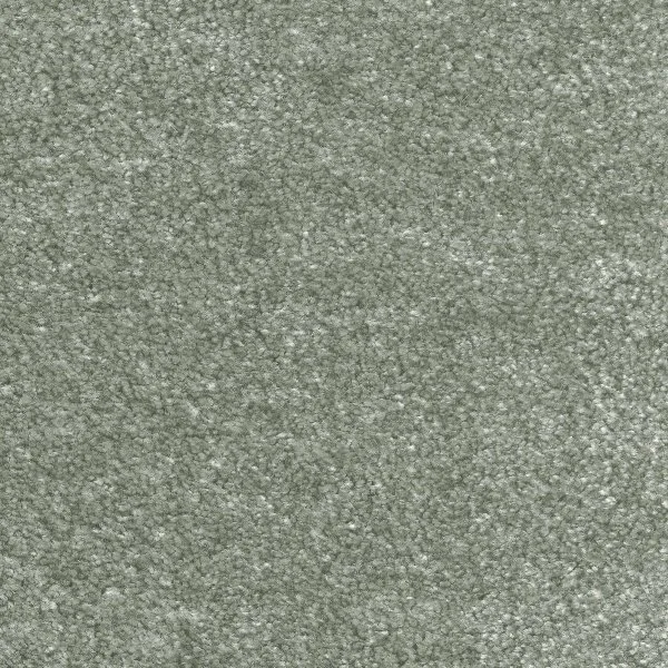 Ковровое покрытие AW Euphoria 28 - (5м) в Тольятти