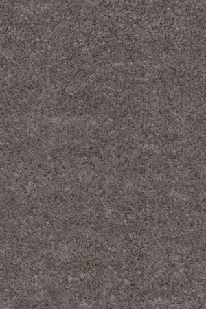 Ковровое покрытие AW Euphoria 45 - (5м) в Тольятти