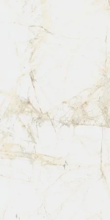 Керамогранит Coliseum Канова Уайт 60х120 (Натуральный и Реттифицированный) в Тольятти