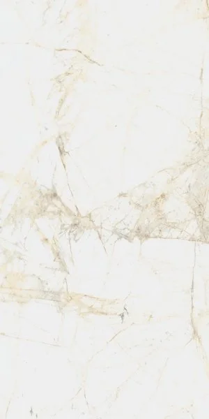 Керамогранит Coliseum Канова Уайт 60х120 (Натуральный и Реттифицированный) в Тольятти