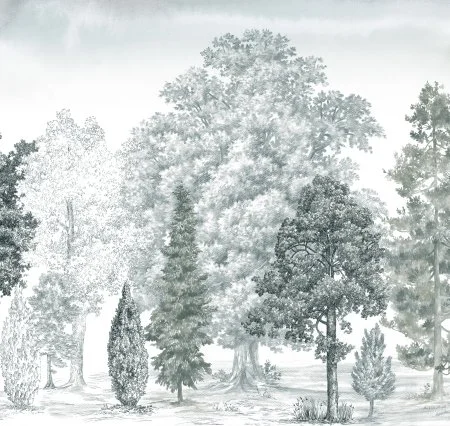 Обои Loymina Пейзаж vol. 2 ART14 011 в Тольятти