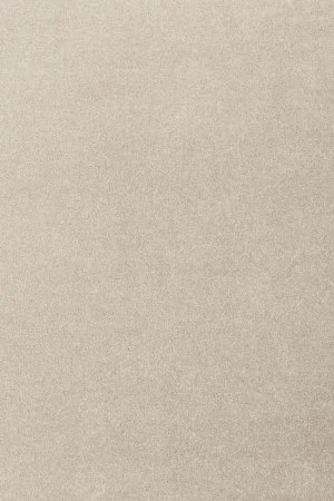 Ковровое покрытие AW Oinone 39 - (4м) в Тольятти