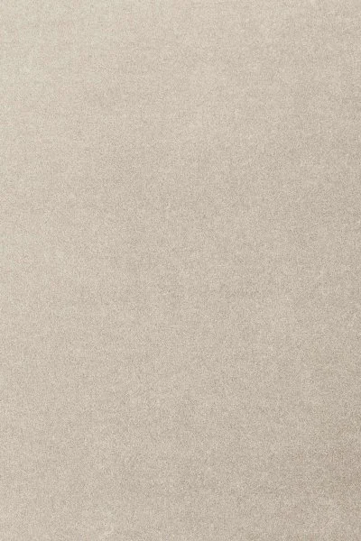 Ковровое покрытие AW Oinone 39 - (4м) в Тольятти