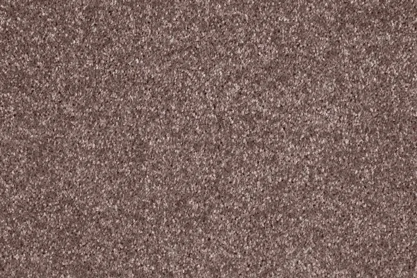 Ковровое покрытие AW Gala 60 - (5м) в Тольятти