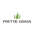 Искусственная трава Prettie Grass в Тольятти